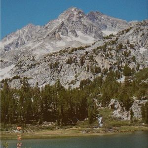 Meet your Posher, Sydney